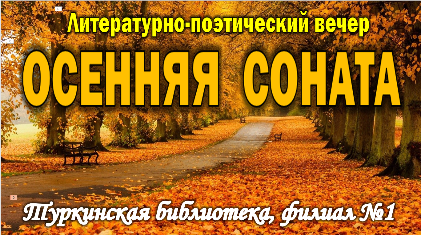 Литературно-поэтический вечер «Осенняя соната».